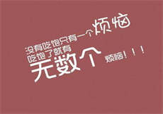 探花在线观看app
